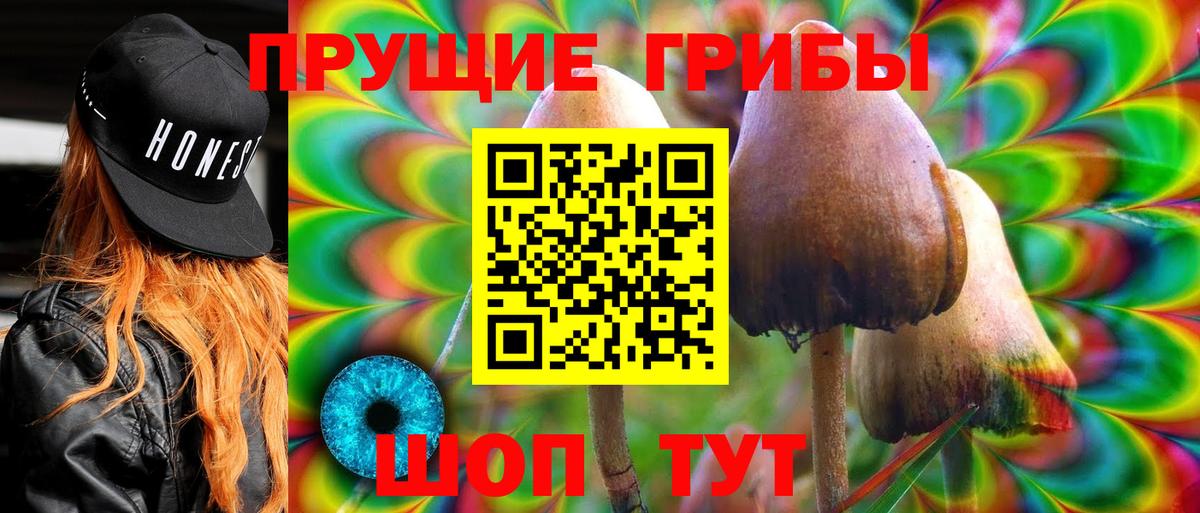 Галлюциногенные грибы Psilocybe  Вход с VPN  Псилоцибиновые грибы ЛСД  Сегежа 
