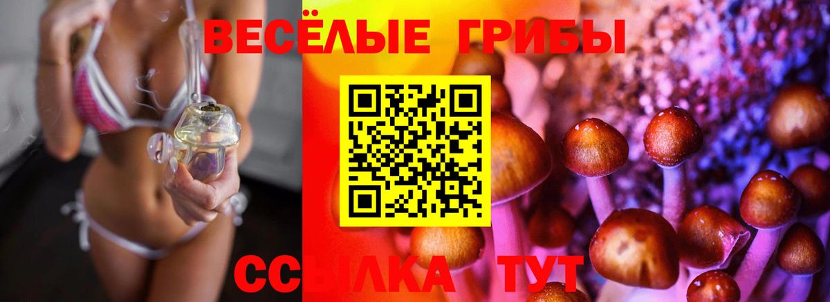 Галлюциногенные грибы GOLDEN TEACHER Сегежа